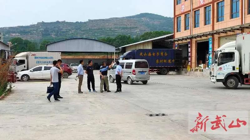 消费电子龙头股票，市场趋势与投资洞察