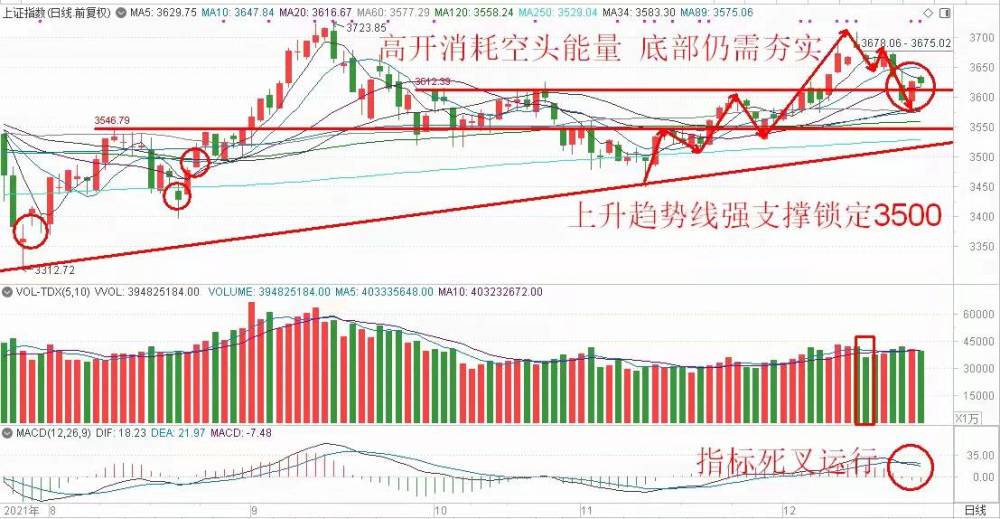 国产CPU股票，未来科技产业的投资焦点