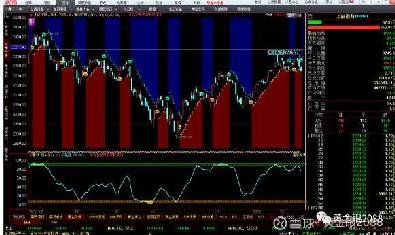 泰达股份股票分红，解析与洞察