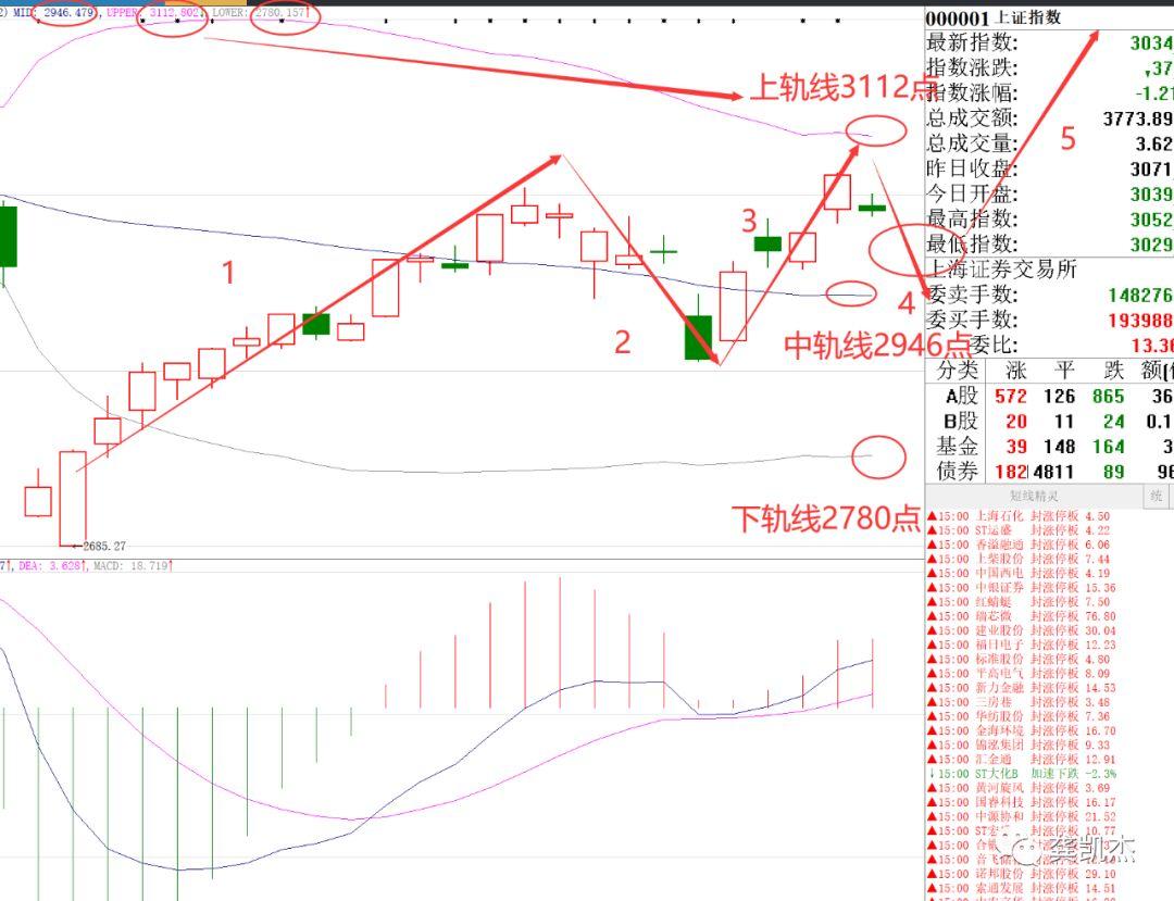 低吸股票下周预测，深度分析与展望