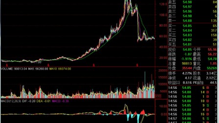 股票技术分析视频全面解析，从入门到精通的指南