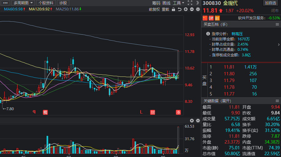 热门股票有哪些，市场热门股票概览