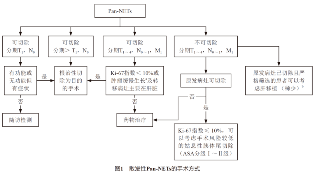 迈瑞医疗股票下载，投资指南与数据获取途径