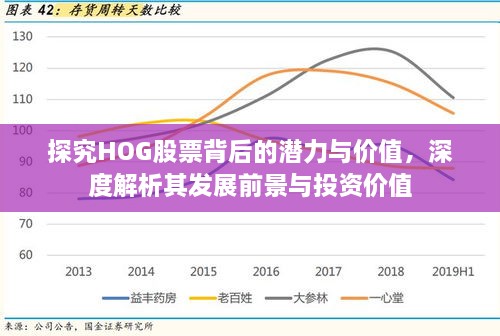 DKGH股票，深度解析与前景展望