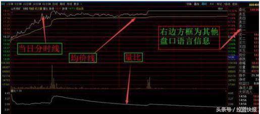 股票暗语解析，揭秘数字密码背后的秘密——关键词股票暗语491解读