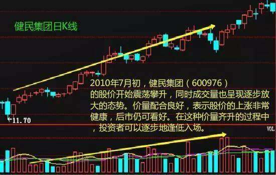 深度解析股票603298，潜力与价值并存的投资选择