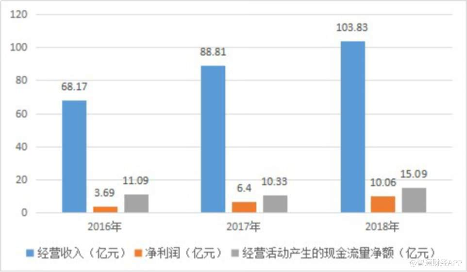 雅迪股份股票，探究其背后的力量与前景展望