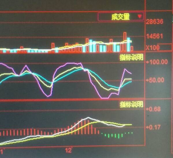 股票积差股，深度解析与投资策略