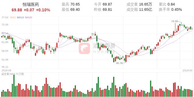 如何进入海豚股票——探索投资的新领域