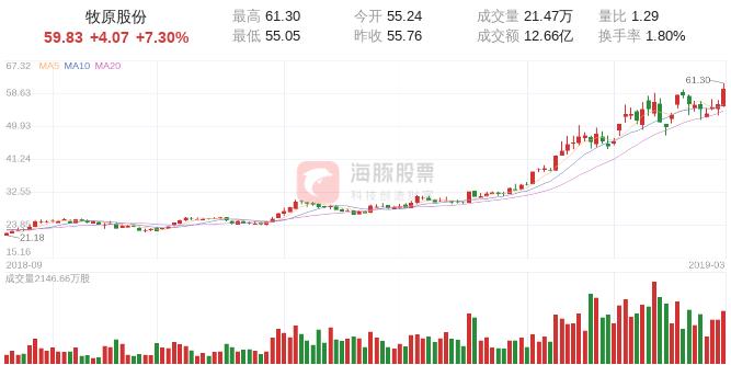 如何进入海豚股票——探索投资的新领域