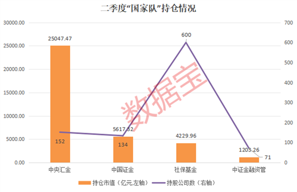 国家队持有的股票，探索与解析