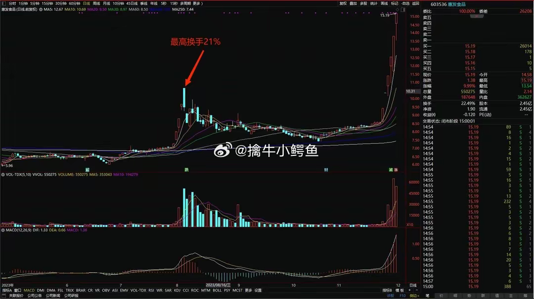 股票历年妖股，深度解析与预测展望