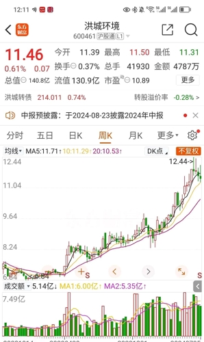 洪城环境股票年报深度解析