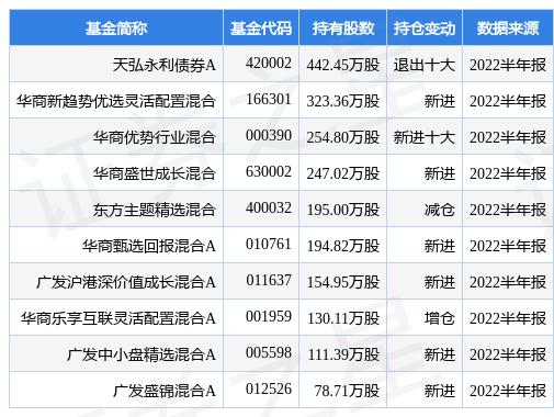 停电器股票，探索与前景展望