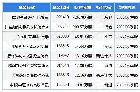 停电器股票，探索与前景展望